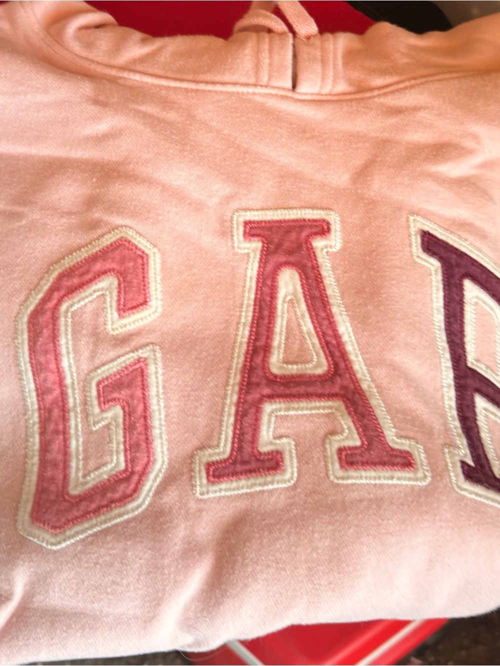 GAP Pink Logo Hoodie with Rose and Mauve Lettering